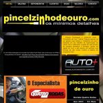 higienizacao-automotiva-delivery-pincelzinho-de-ouro-abc-e-sap-paulo