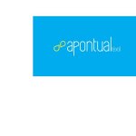 a-pontual-industria-e-comercio-ltda