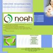 clinica-noah---fonoaudiologia-e-saude