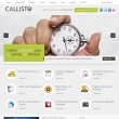 callisto-erp-sistemas-de-gestao-empresarial