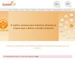 golden-service-consultoria-em-informatica