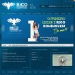 rico-domingues-concursos