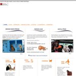 clinica-veterinaria-pet-shop-cidade-jardim