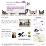 kether-centro-diagnostico-veterinario