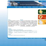 tse-automacao-comercio-e-representacoes-ltda