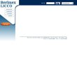 berimex-injecao-diesel