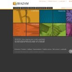 biazam-produtos-metalurgicos-ltda