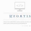 fortis-it-consulting