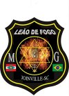 moto-grupo-leao-de-fogo-oficina-de-motos