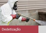 empresa-de-dedetizacao---excelencia-em-qualidade