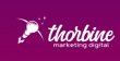 thorbine---agencia-de-marketing-digital-em-sao-bento-do-sul