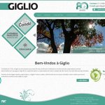 giglio-s-a-industria-e-comercio